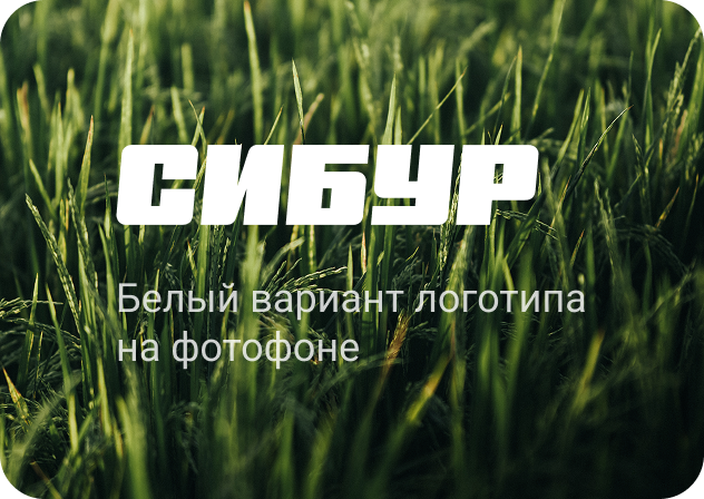 image-logo-4